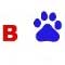 logoquiz